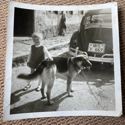 637f0345-49e6-4476-8b46-939b55cda2cd