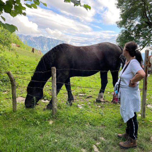 WhatsApp Image 2023-09-07 at 15.29.51 (1)